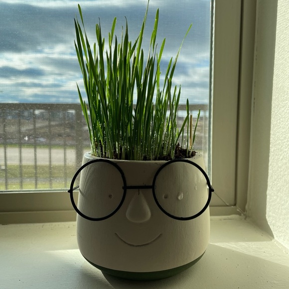 Meet your Posher, Valentina - Picture 1 of 1